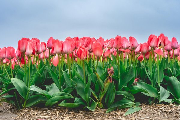 Solutions de climatisation à fréjus : service complet pour votre confort