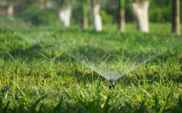 Systèmes d'arrosage efficaces pour votre jardin